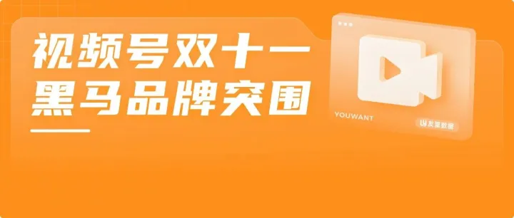 视频号双十一赛道新变局，品牌5天狂销1200W