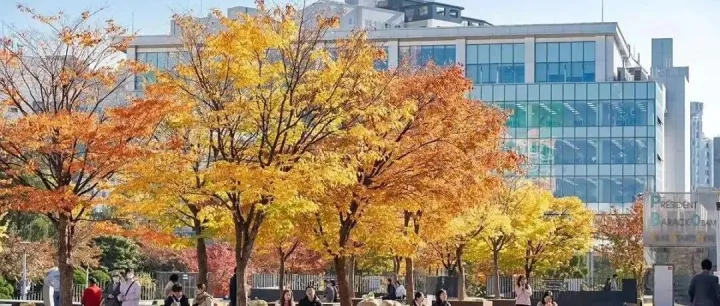 韩语vs英语vs中文授课，韩国<em>语言</em>授课模式<em>哪种</em>适合你？