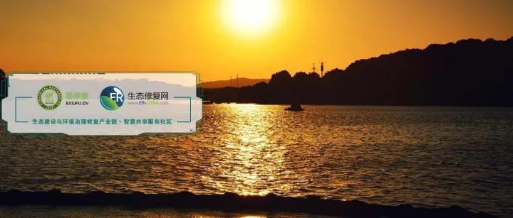 【专家视角】南京师范大学许晓光团队WR｜贫富营养化湖泊DOM光降解过程中ROS生成效率对多光谱辐照的不同响应