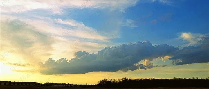 100<em>句中</em>国谚语