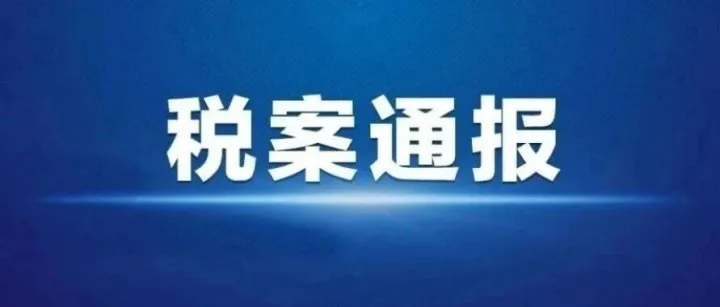 国家税务总局深圳市税务局依法查处一起涉税中介机构虚开增值税普通发票案件
