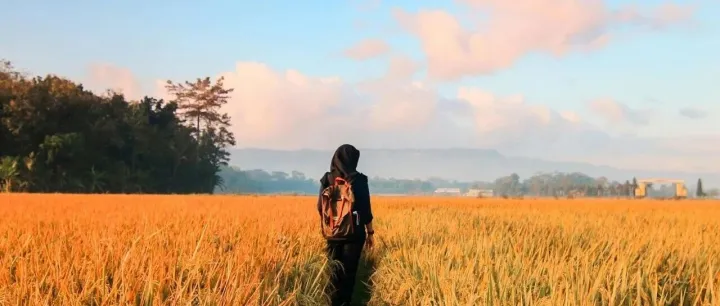 跨境旅游消费趋势洞察