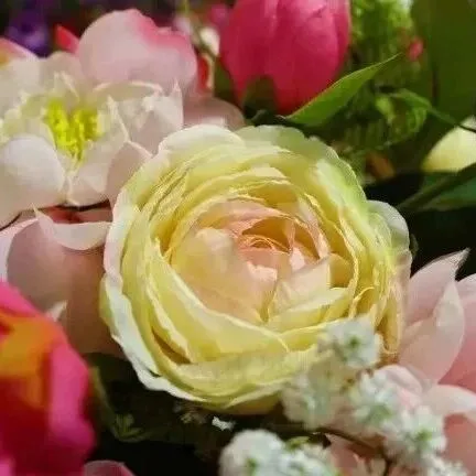 社旗：“一<em>朵</em>花”的国际化绽放 方城县博望镇：种菜种出“高<em>科技</em>” 富路越走越宽广