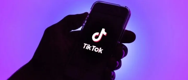 28天、713场：TikTok达人直播数据深度解析