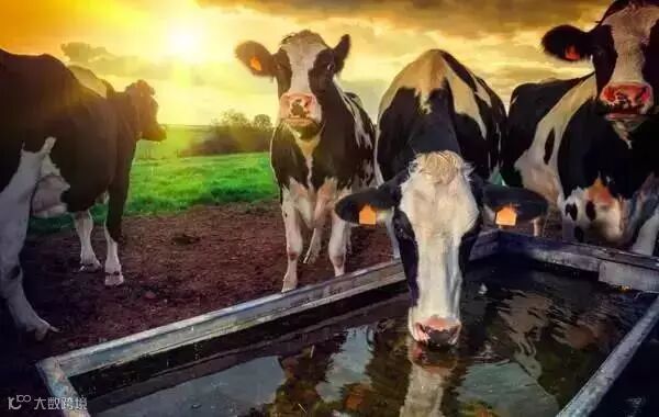 屏幕快照 2016-02-24 下午2.21.11.png