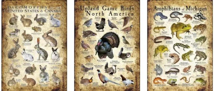 【25-cv-01838】Ference代理插画家ROGER HALL发案，涉及15张版权图