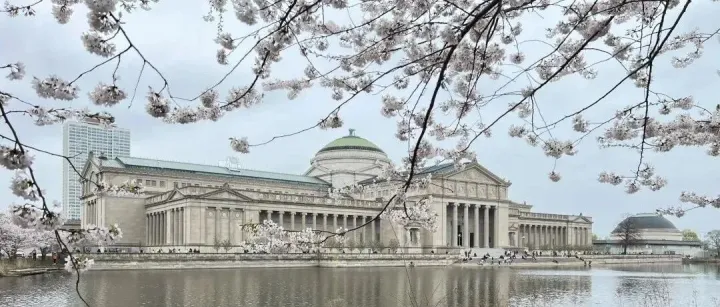 今日芝加哥：芝加哥暴雪致高速近五百起交通事故；芝財(cái)務(wù)官要求大家細(xì)讀地稅單；每人發(fā)五百刀你有資格嗎；假日列車為芝加哥帶來(lái)節(jié)日歡樂(lè)；