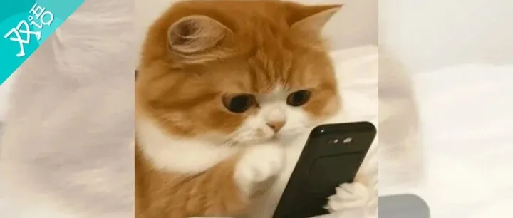 微信聊天反复出现“对方正在输入……”，说明对方在干什么？