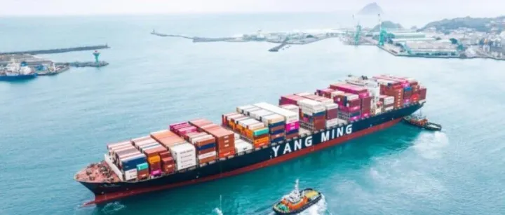 船公司最新通知：严惩虚假申报