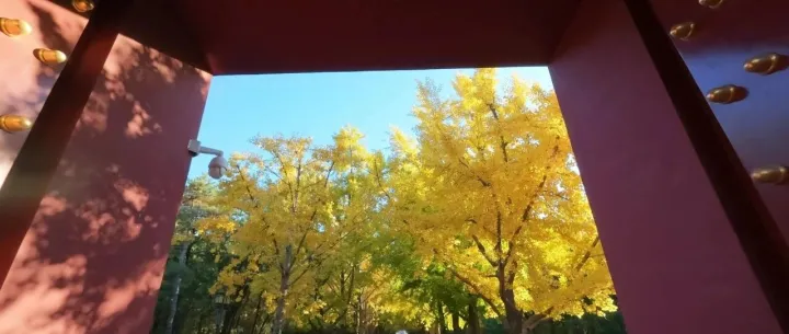 大规模文档版式分析<em>数据</em>集<em>生成</em>-OmniLayout-1M<em>数据</em><em>生成</em>思路