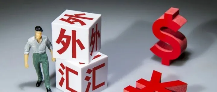 <em>外汇</em>的优势