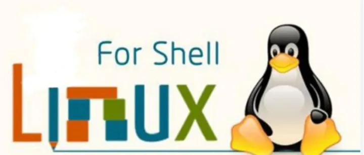 一键压测磁盘 <em>QPS</em> 的脚本（FIO）