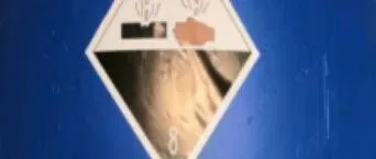 8类危险品邻氯苯甲醛UN3265海运出口操作流程及注意事项