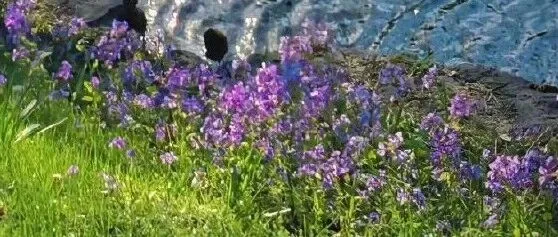 2025年中国市场岗位证书大全排行：这几张“黄金凭证”含金量最高