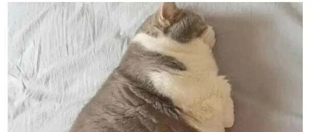 科研<em>数据</em>分析第7期：<em>数据</em><em>清洗</em>？AI帮不了你！