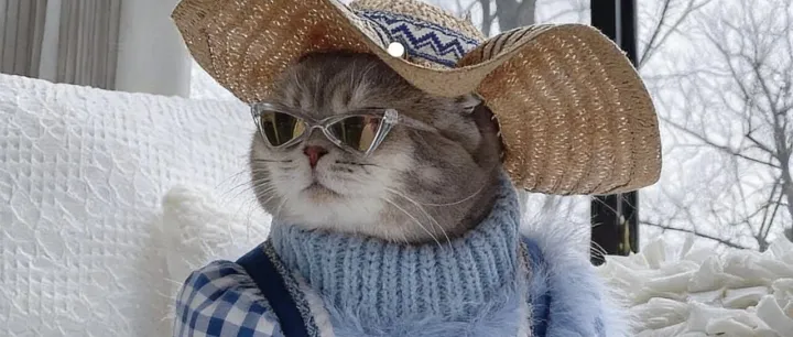 德国宠物市场：在稳定增长中转向