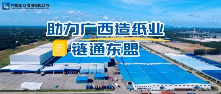 中国信保助力广西造纸业链通东盟
