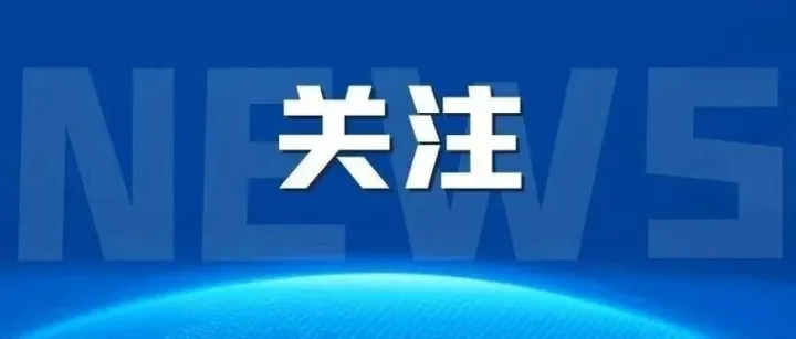 湖北省商务厅召开湖北—迪拜航空城线上对接会