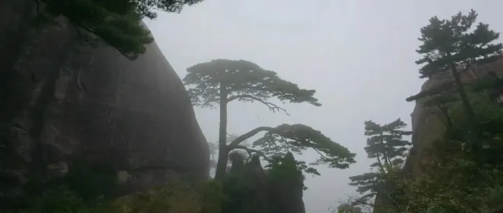 再看<em>两</em><em>阶段</em>多模态文档解析大模型-PaddleOCR-VL架构、<em>数据</em>、训练方法