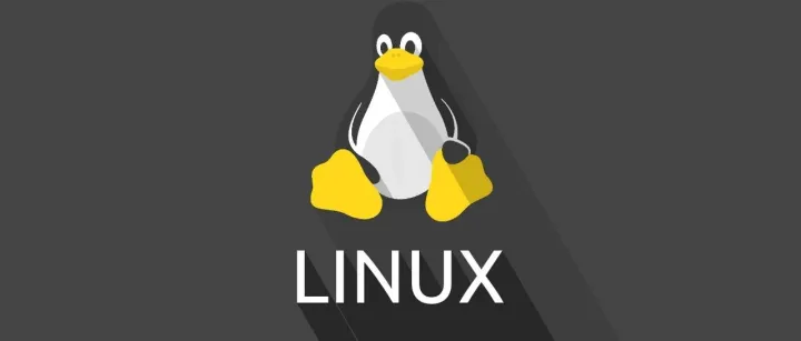 被公司困住的运维人：本职涨薪难，私活能当 “Plan B” 吗？