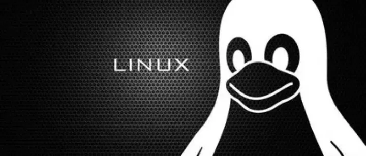 Android使用c实现elf文件头信息读取