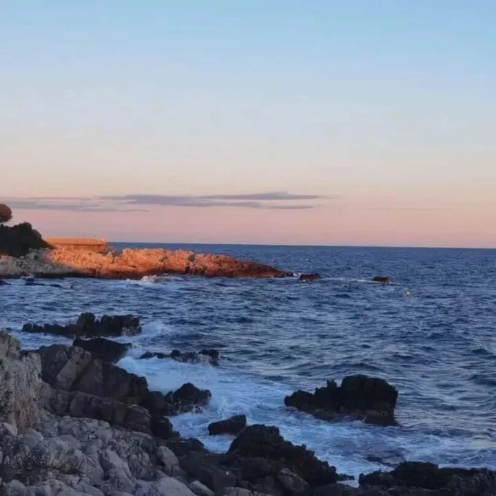 国家市场监管总局举办航空运输业海外反垄断合规讲堂