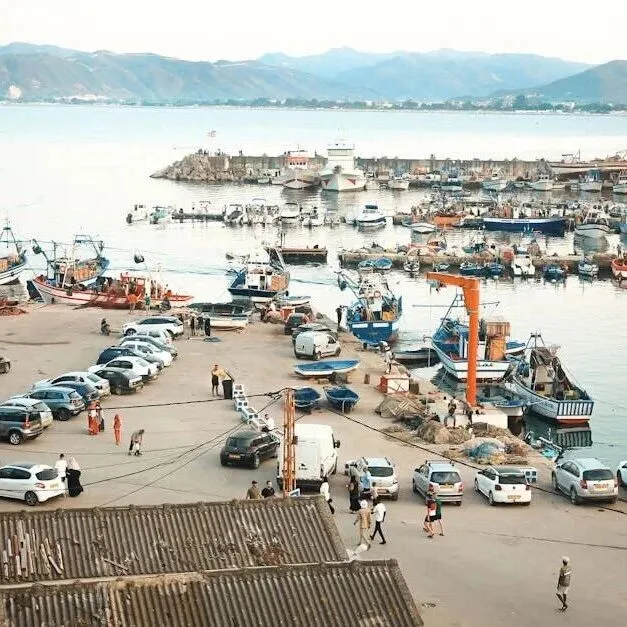 反对盲目代理！这些爱尔兰厨具坑你躲不过