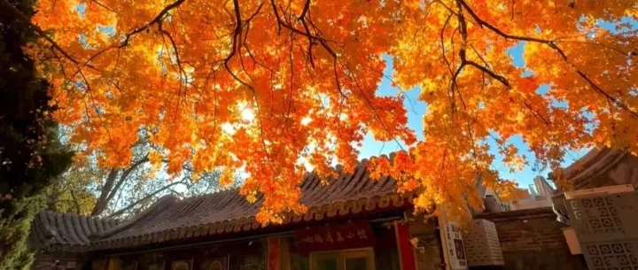 智能招聘-简历解析技术方案回忆及SmartResume demo方案解读