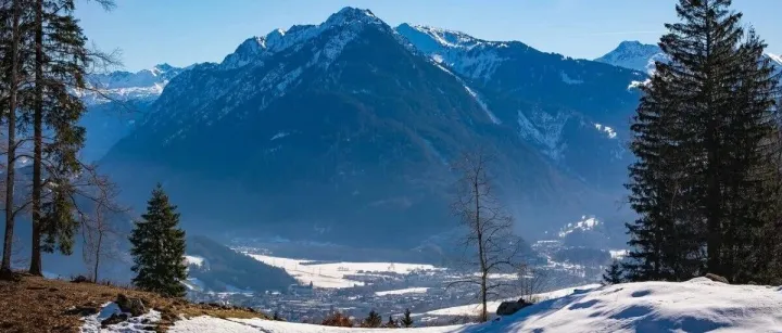 好消息！跨境电商店铺公司已缴税后见报告是赛维模式正沟通退回！