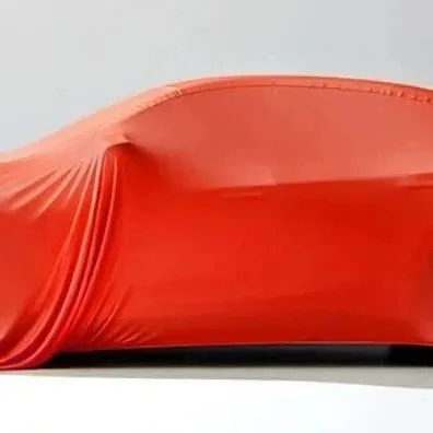 京东官宣：将发布新车