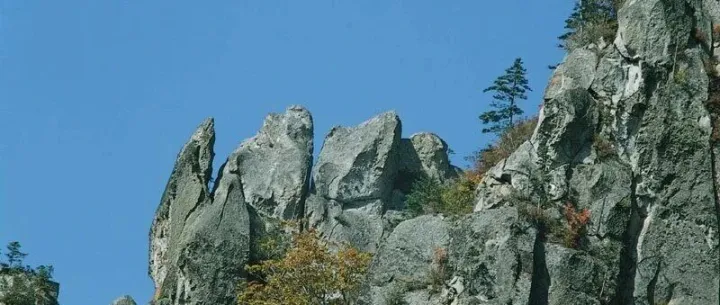 含有合并单元格的源数据，如何直接使用公式?