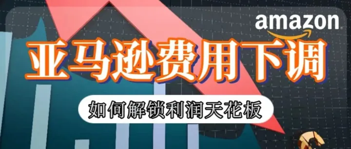 亚马逊欧洲站下调卖家费用！降费只是铺垫，如何解锁利润天花板？
