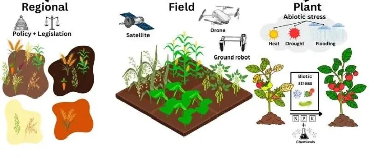 数字孪生(<em>Digital</em> <em>twins</em>)在植物科学领域的应用