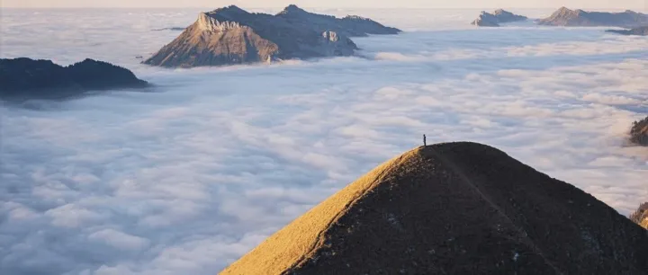 DIY ChatGPT 一周狂揽 27k Star「GitHub 热点速览」