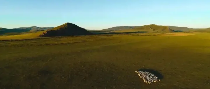 小创业者要戒断宏大的正确废话，把有限资源砸在立刻见效的点上