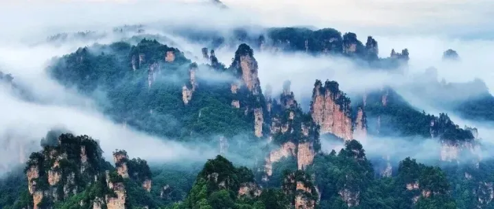 运营每日SOP清单