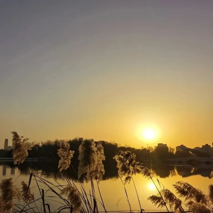 只<em>有极</em>少数公司值得投资