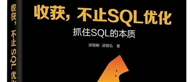 迷谷悟道，收获不止SQL优化