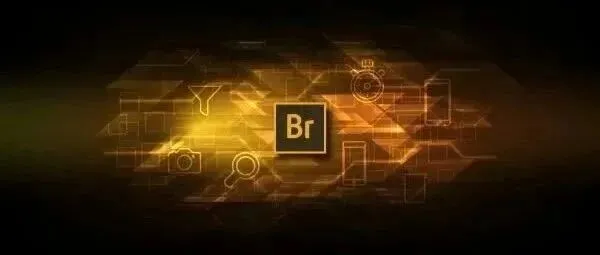 Bridge 2026安装步骤