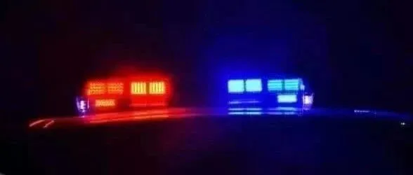 “诸葛神<em>濠</em>”，被行拘