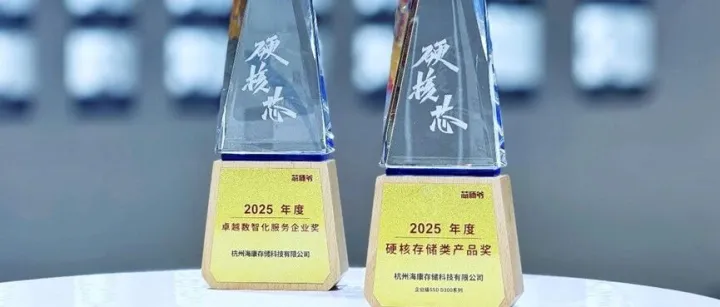 海康存储锚定细分市场新航道 SEMI-e 2025获两项大奖