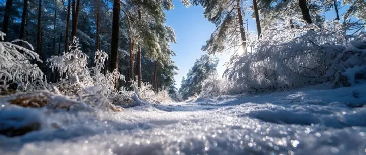 TEMU第四十四弹，高转化内容怎么批量做？