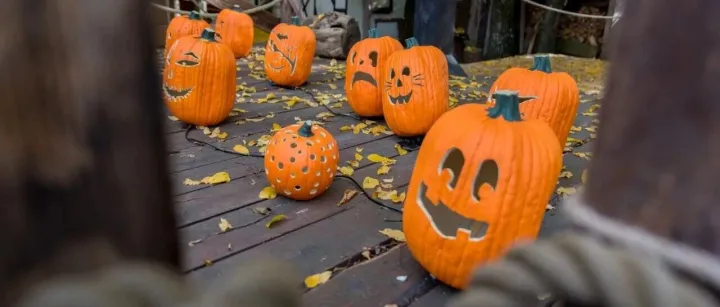 Coupang平台测评指南：安全获取好评，破解卖家留评难题