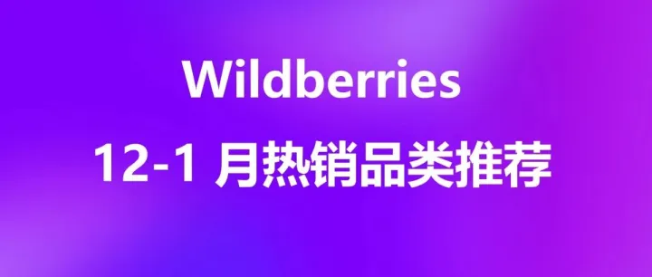 12-1月Wildberries热销品类推荐——新年节庆销售黄金期即将全面开启！