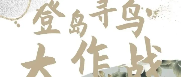 冲就对了！第三周冠军揭晓，登岛寻鸟+Labubu好礼的快乐我也想要~