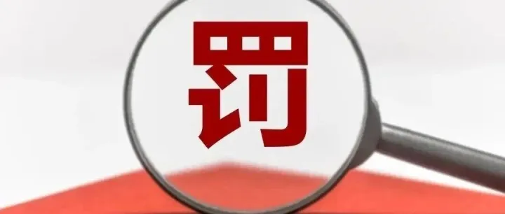 【<em>海关</em>稽查】<em>海关</em>涉检行政处罚风险案例分析（二）