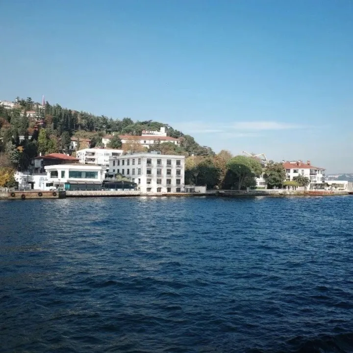 《互联网平台反垄断合规指引（征求意见稿）》及官方解读