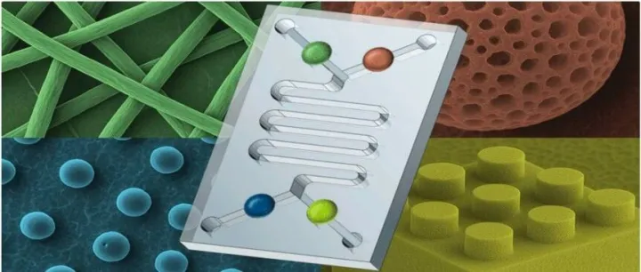 综述：基于智能功能材料的微流控<em>执行器</em>现状及未来展望