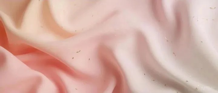 什么是 Spark？在 Microsoft Fabric 里到底干嘛用？