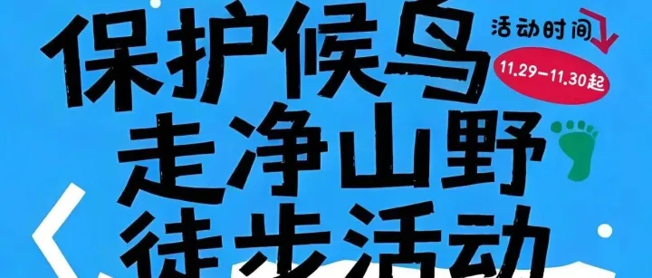 「候鸟集」保护候鸟，走净山野，徒步活动正在进行中！